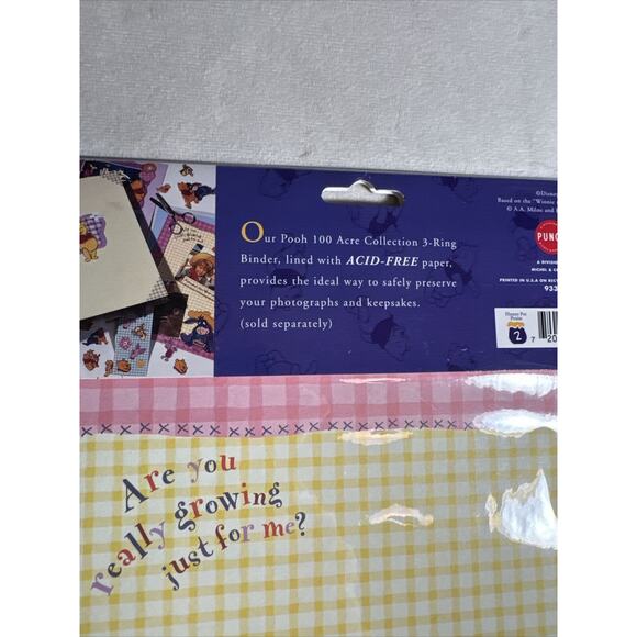 Winnie The Pooh Sunny Day Fun 100 Acre Collection Scrapbook Page Kit Vintage NOS - Picture 3 of 3